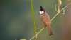 �a��� ���� ����� ������� ��������������� � ����� �� ���� �������� COVID-19