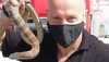 �Truth� behind servo snake photo